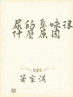 尿的臭味很重是什么原因