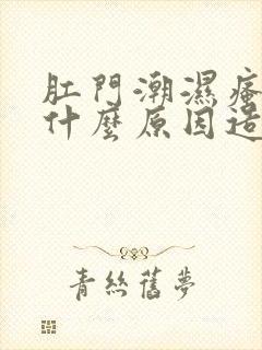 肛门潮湿瘙痒是什么原因造成的