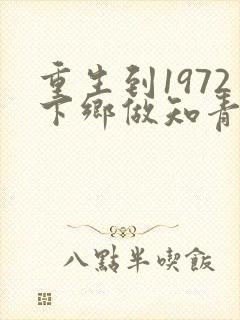 重生到1972下乡做知青小说