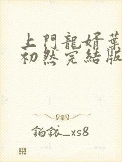 上门龙婿叶辰萧初然完结版txt免费下载