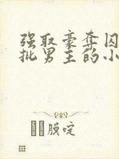 强取豪夺囚禁疯批男主的小说封面