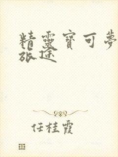 精灵宝可梦h的旅途