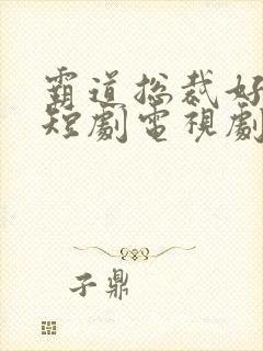 霸道总裁好看的短剧电视剧封面