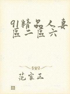 91精品人妻一区二区六