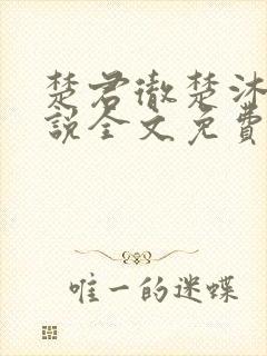 楚君彻楚沐尘小说全文免费阅读