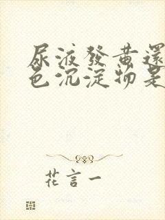 尿液发黄还有白色沉淀物是什么原因封面