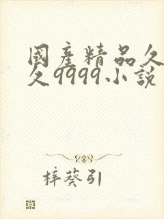 国产精品久久久久9999小说封面