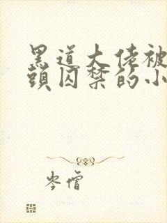 黑道大佬被死对头囚禁的小说