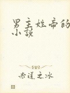男主姓帝的玄幻小说