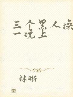 三个黑人操了我一晚上