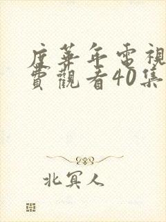 度华年电视剧免费观看40集封面