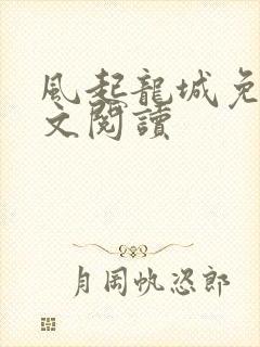 风起龙城免费全文阅读封面