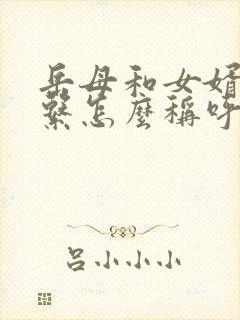 岳母和女婿的关系怎么称呼封面