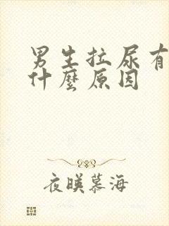 男生拉尿有血是什么原因