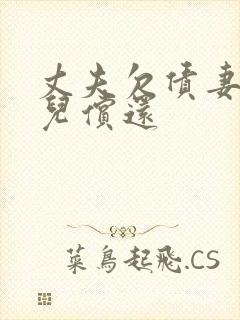 丈夫欠债妻子女儿偿还