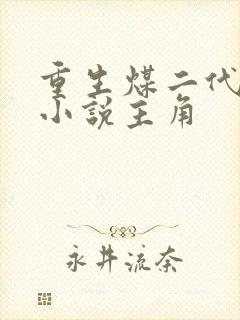 重生煤二代林浩小说主角封面