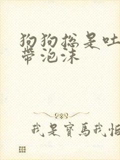 狗狗总是吐黄水带泡沫封面