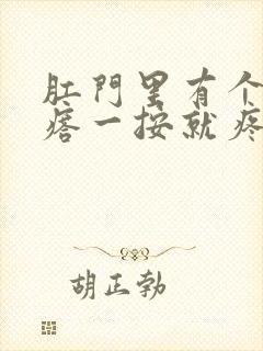 肛门里有个硬疙瘩一按就疼