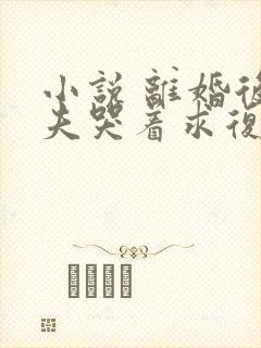 小说 离婚后前夫哭着求复婚