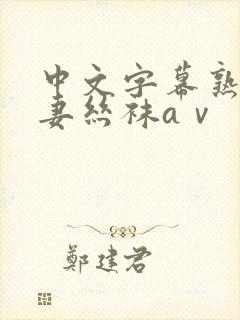 中文字幕熟女人妻丝袜aⅴ