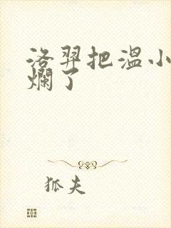 洛羿把温小辉做烂了