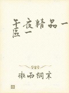 午夜精品一区二区一