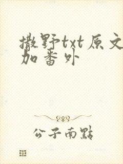 撒野txt原文加番外