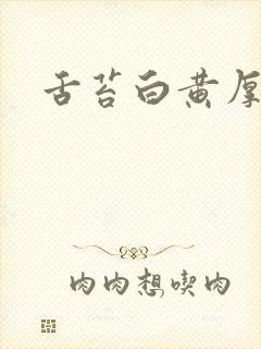 舌苔白黄厚而腻