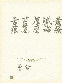 舌苔厚腻黄有齿痕怎么治疗