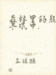 森林里的熊先生冬眠中.