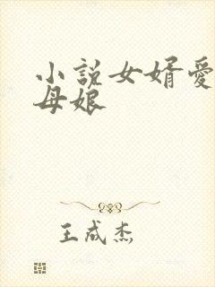 小说女婿爱上丈母娘