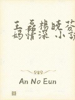 王磊杨晓芬 后妈情深 小说