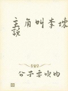 主角叫李坏的小说