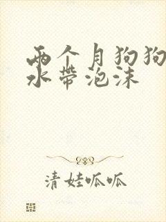 两个月狗狗吐黄水带泡沫