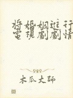 将婚姻进行到底电视剧剧情分集介绍