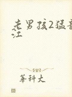 老男孩2猛龙过江
