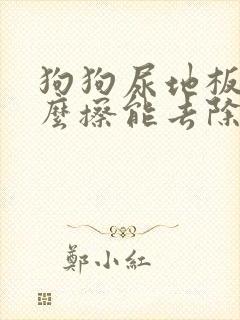 狗狗尿地板上怎么擦能去除骚味