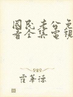 国民老公免费观看全集电视剧