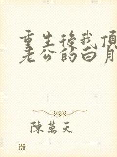 重生后我顶替了老公的白月光