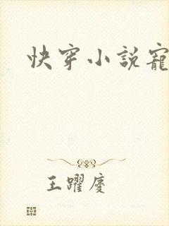 快穿小说宠文