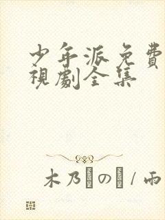 少年派免费的电视剧全集