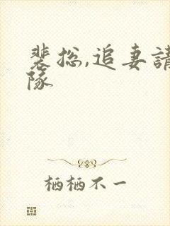 裴总,追妻请排队