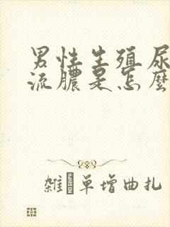 男性生殖尿道口流脓是怎么回事