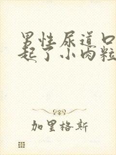 男性尿道口旁边起了小肉粒