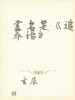 书名是《追妻火葬场》