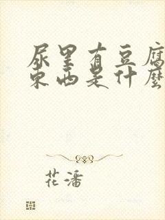 尿里有豆腐渣的东西是什么情况