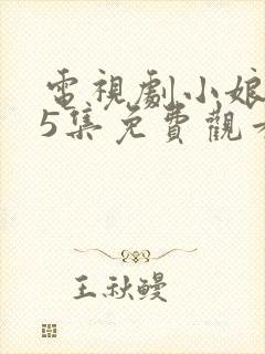 电视剧小娘惹45集免费观看大结局封面