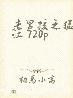 老男孩之猛龙过江 720p