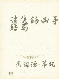 消失的凶手石所结局封面