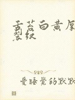 舌苔白黄厚腻有裂纹封面